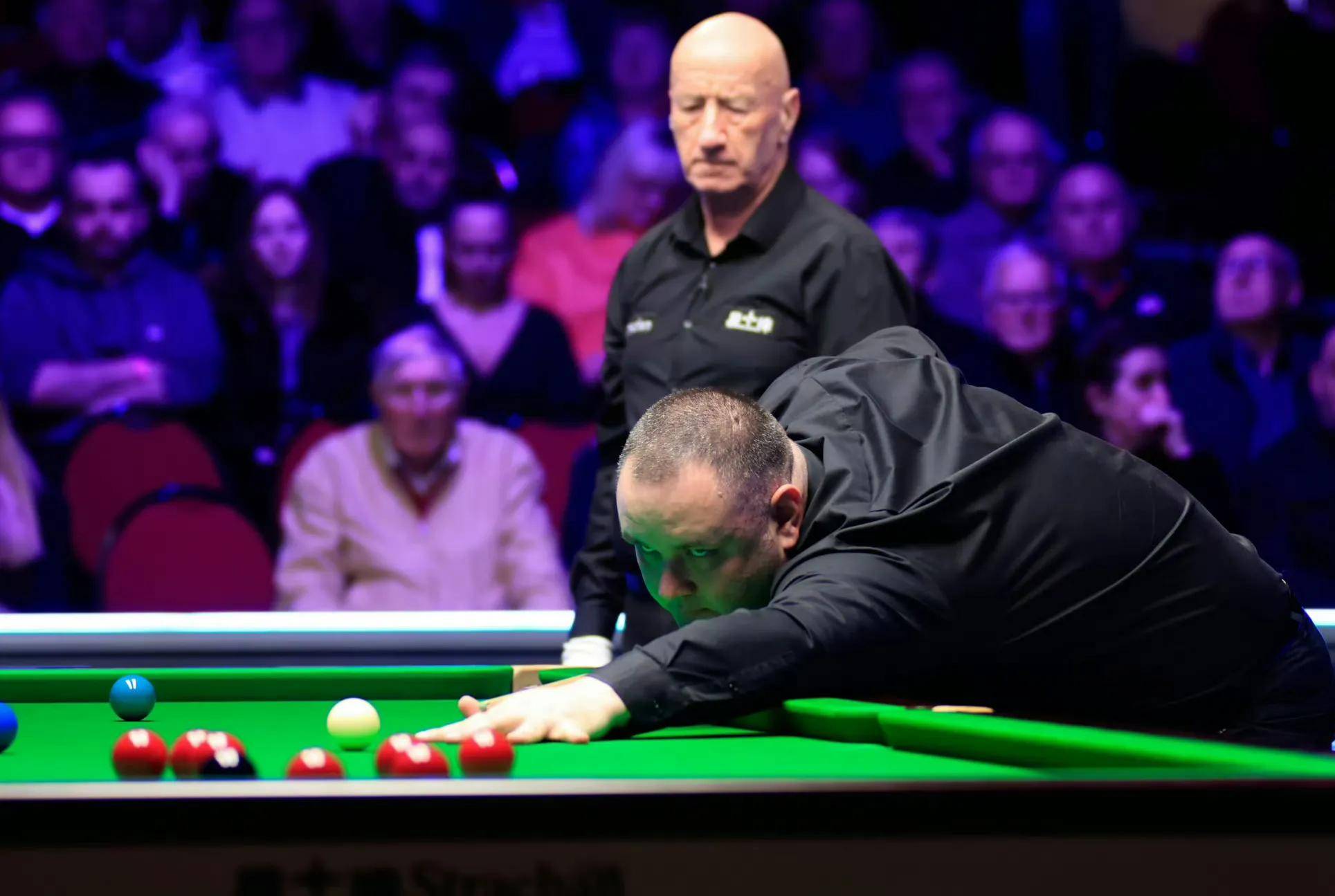 坚韧品质的 坚韧品质的