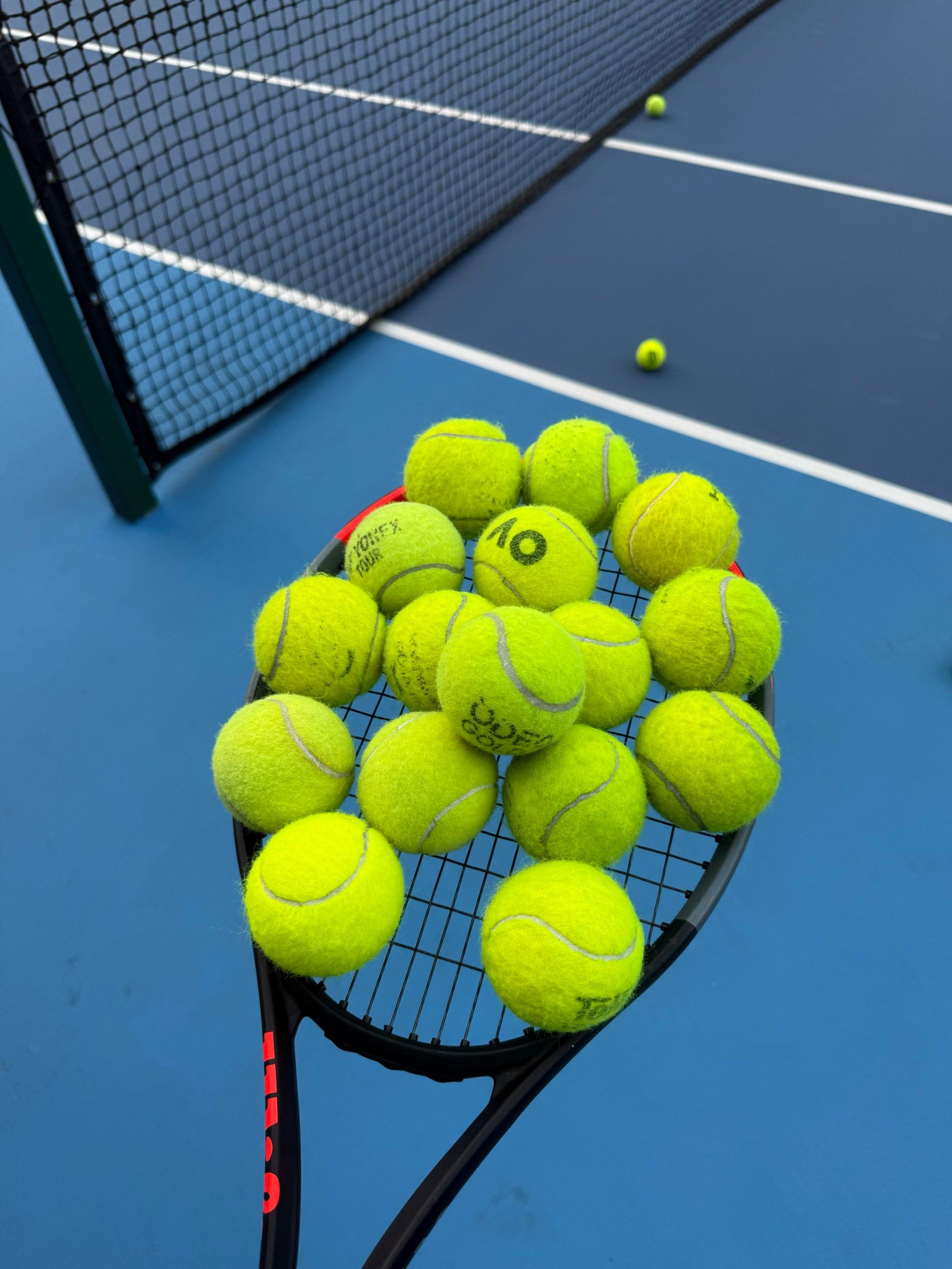 曼联的保罗 曼联的保罗