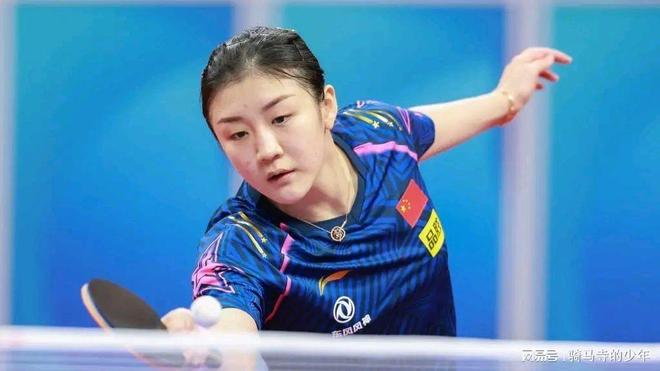 参考同类I 参考同类I